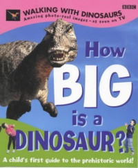 Image of How Big Is a Dinosaur ?